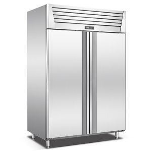 tall freezer double temp control BDG32L2F